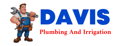 Trusted plumber in CLEMENTS